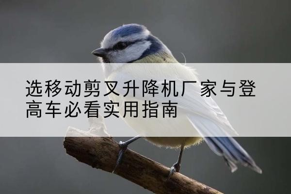 桂阳电动升降机厂家-选移动剪叉升降机厂家与登高车必看实用指南