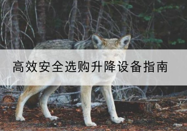 桂阳升降货梯厂家推荐-*安全选购升降设备指南