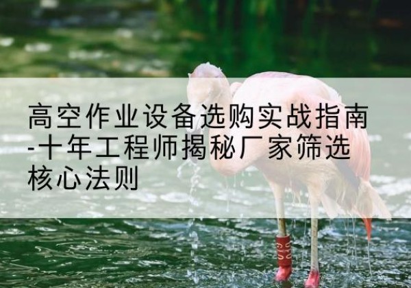 桂阳剪叉式升降机厂家-高空作业设备选购实战指南-十年工程师揭秘厂家筛选核心法则